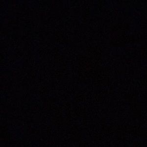 Meet your Posher, Arlene